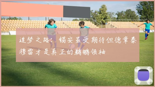追梦之路：锡安虽受期待但德章泰穆雷才是真正的鹈鹕领袖