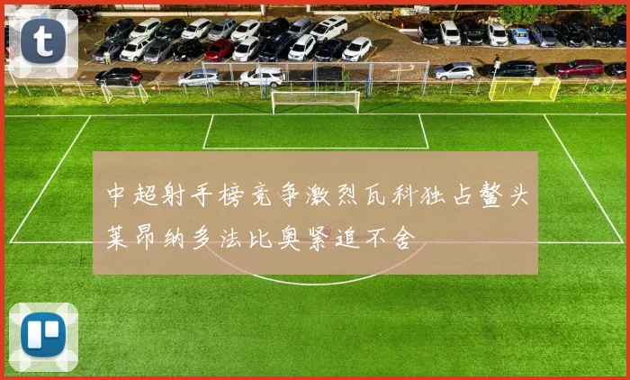 中超射手榜竞争激烈瓦科独占鳌头莱昂纳多法比奥紧追不舍