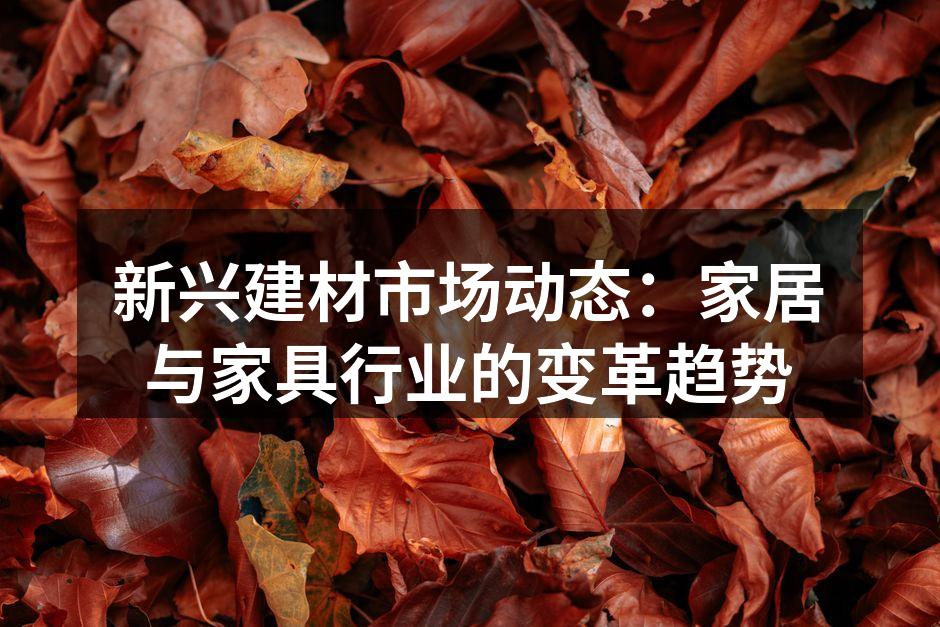 新兴建材市场动态：家居与家具行业的变革趋势